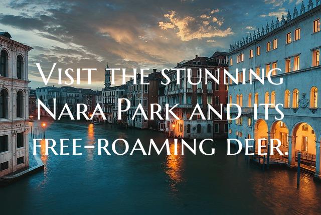 Visit the stunning Nara Park and its free-roaming ...